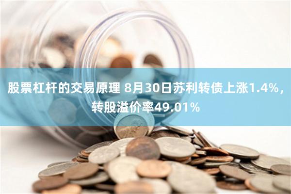 股票杠杆的交易原理 8月30日苏利转债上涨1.4%，转股溢价率49.01%