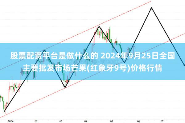 股票配资平台是做什么的 2024年9月25日全国主要批发市场芒果(红象牙9号)价格行情