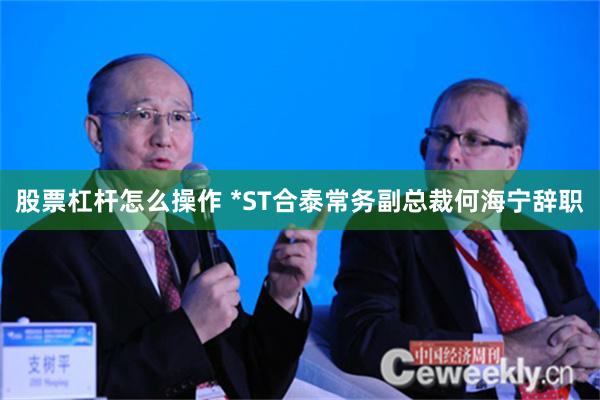 股票杠杆怎么操作 *ST合泰常务副总裁何海宁辞职