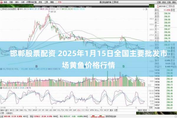 邯郸股票配资 2025年1月15日全国主要批发市场黄鱼价格行情